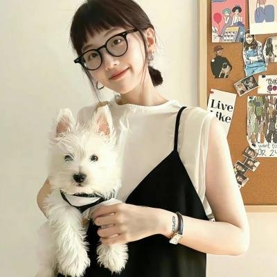 探长雷布斯第一季 在线观看